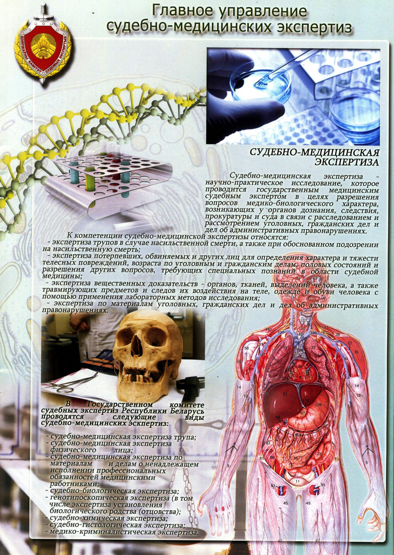 Экспертно-криминалистический отдел